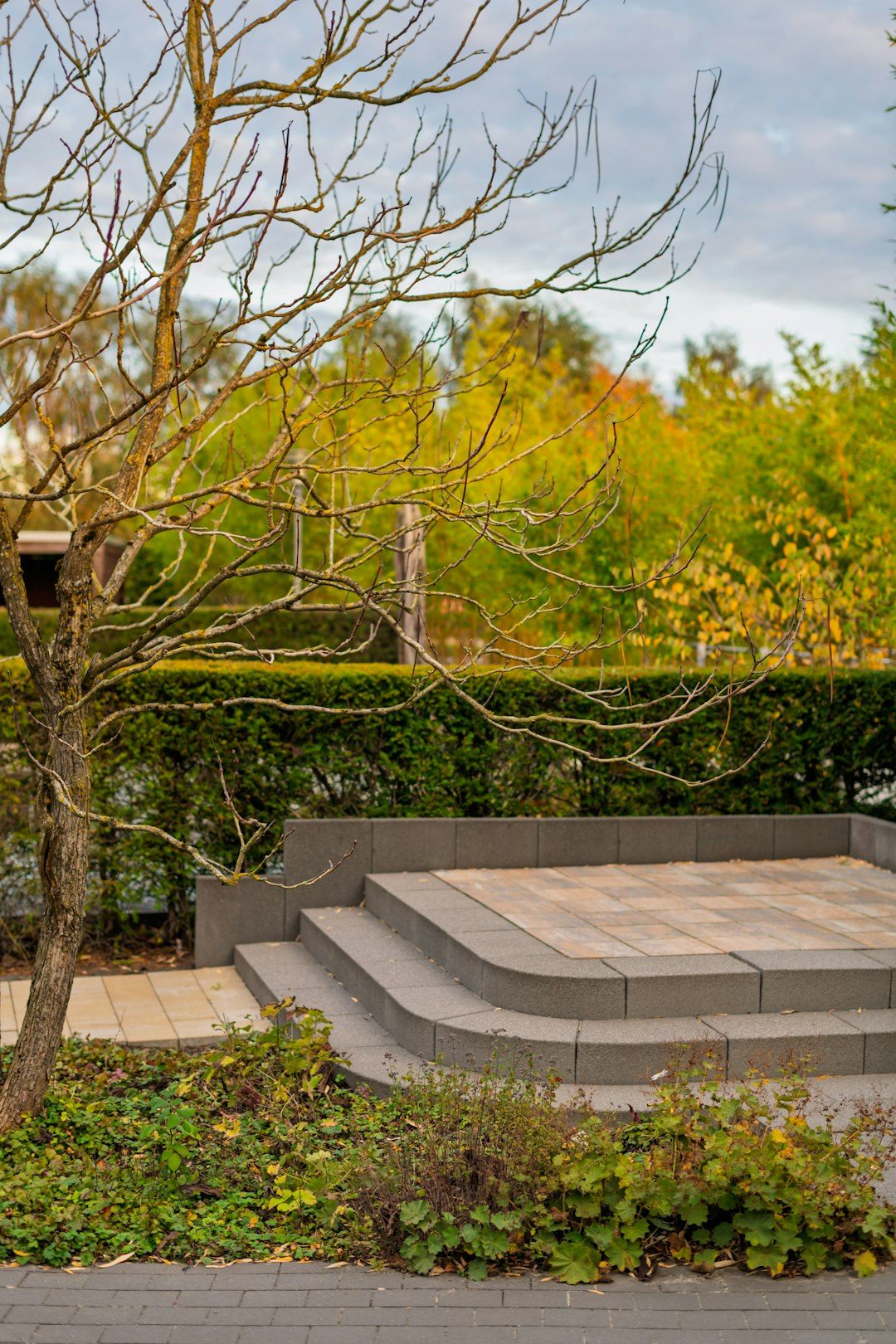 Premium Landscaping Web Design