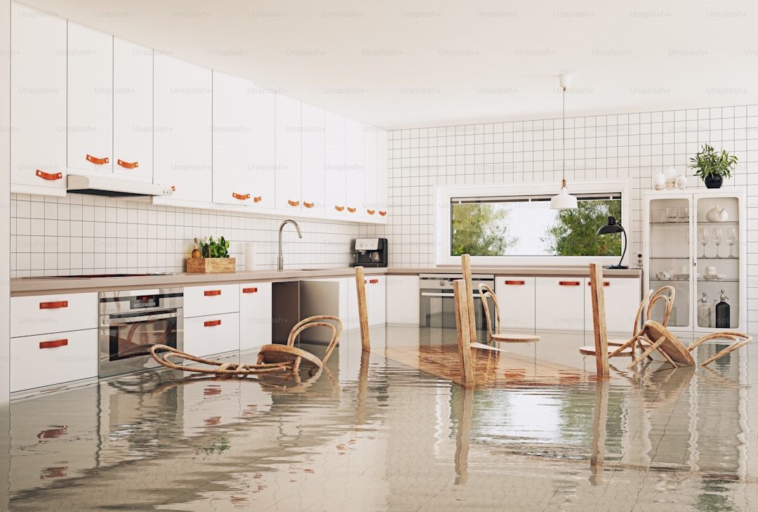 Water Damage Restoration SEO